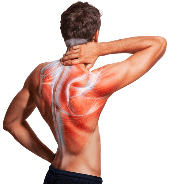 Muskelstränge im Rücken